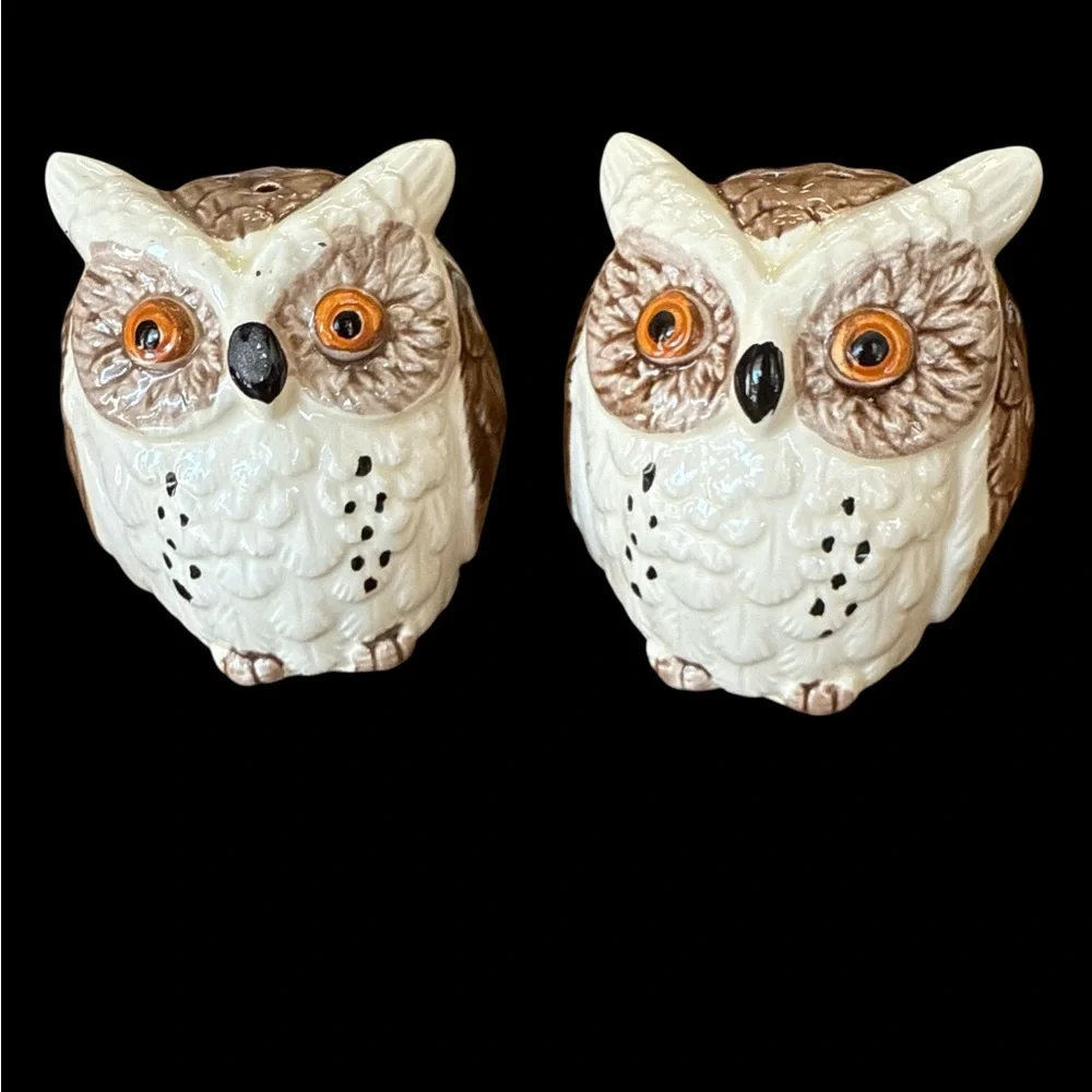 VTG Enesco Japan Ceramic Owl Kitchen Counter Set Napkin Spoon Rest Shakers